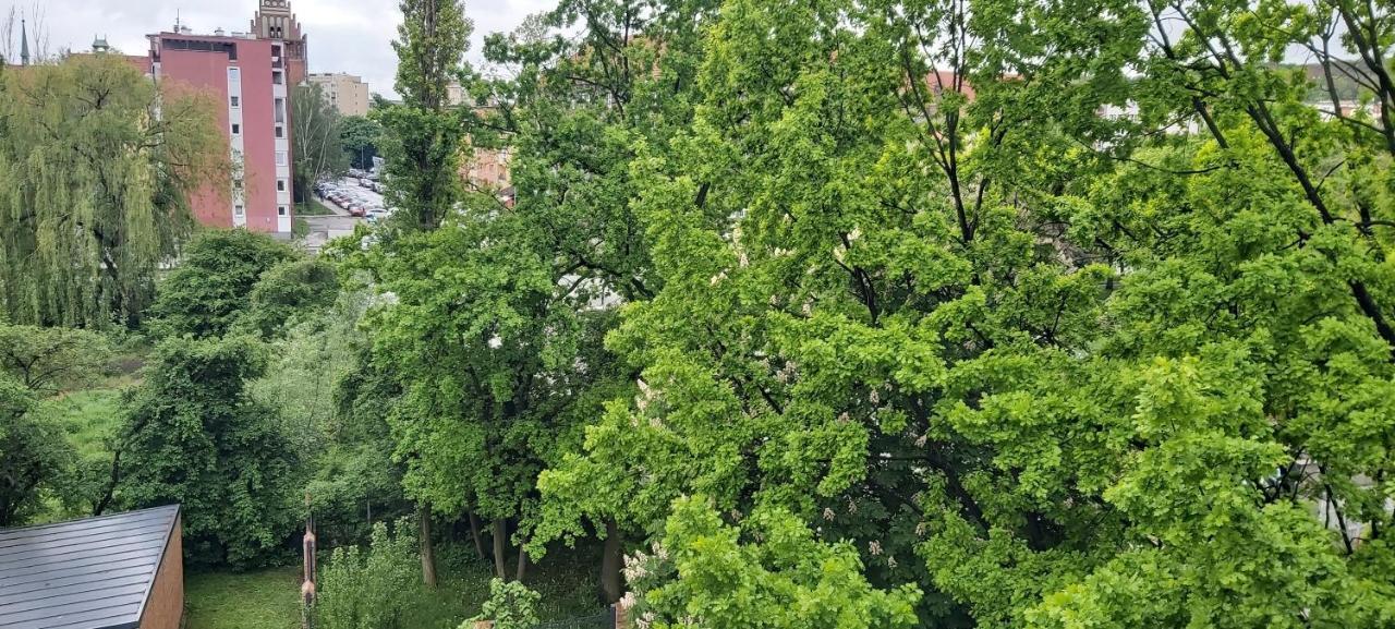 Central Apartments Ogarna 3 غدانسك المظهر الخارجي الصورة